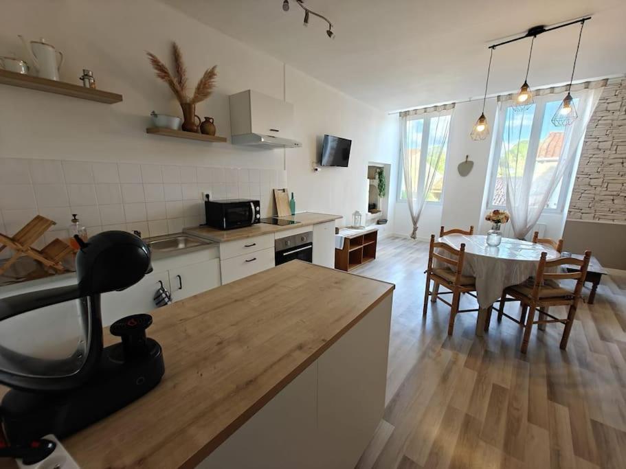 Le Duplex Du Centre - Ideal Pour Un Sejour Detente ! Saint-Savinien 외부 사진